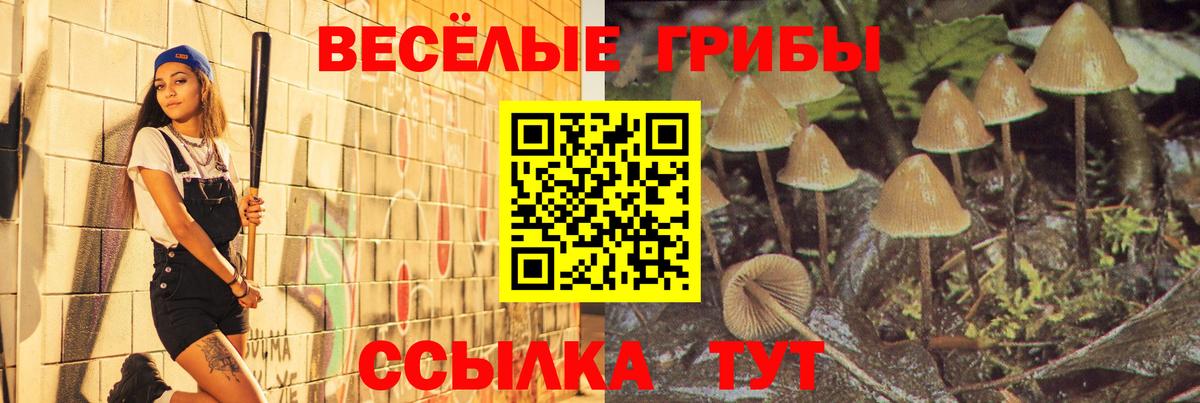Псилоцибиновые грибы MAGIC MUSHROOMS  Вход с VPN  Когалым  Псилоцибиновые грибы Magic Shrooms 