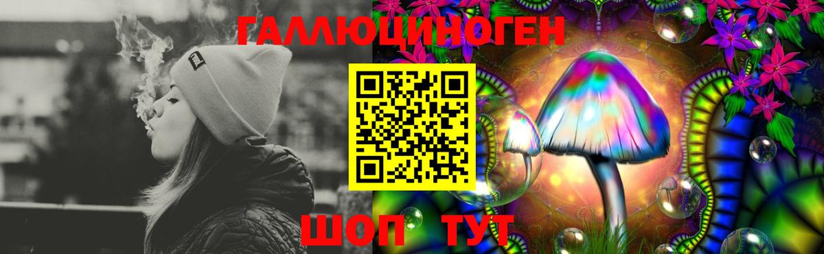 Галлюциногенные грибы Psilocybe Когалым